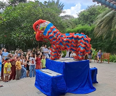 Sewa Barongsai Koh Robin