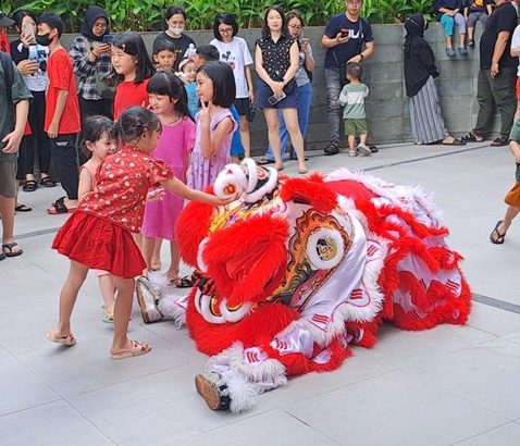 Sewa Barongsai Koh Robin