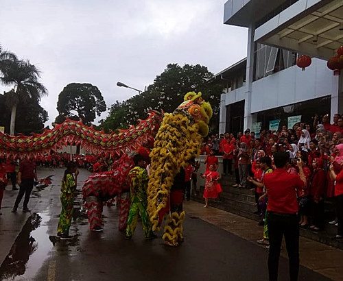 Sewa Barongsai Liong Ci Aguan