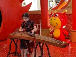 Musik Guzheng Erhu Citra Studio