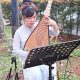 Musik Guzheng Erhu Harpa